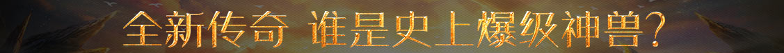 投资网数字管理